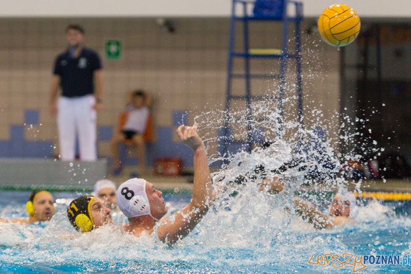 DSW Waterpolo Poznań - WTS Bytom Foto: lepszyPOZNAN.pl / Piotr Rychter DSW Waterpolo Poznań - WTS Bytom Foto: lepszyPOZNAN.pl / Piotr Rychter