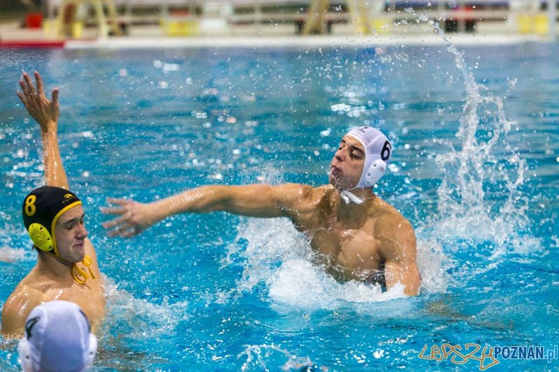 DSW Waterpolo Poznań - WTS Bytom Foto: lepszyPOZNAN.pl / Piotr Rychter DSW Waterpolo Poznań - WTS Bytom Foto: lepszyPOZNAN.pl / Piotr Rychter
