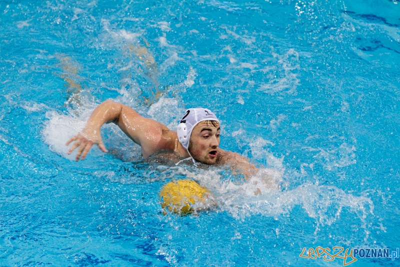 DSW Waterpolo Poznań - WTS Bytom - 23.11.2014 r. Foto: LepszyPOZNAN.pl / Paweł Rychter DSW Waterpolo Poznań - WTS Bytom - 23.11.2014 r. Foto: LepszyPOZNAN.pl / Paweł Rychter