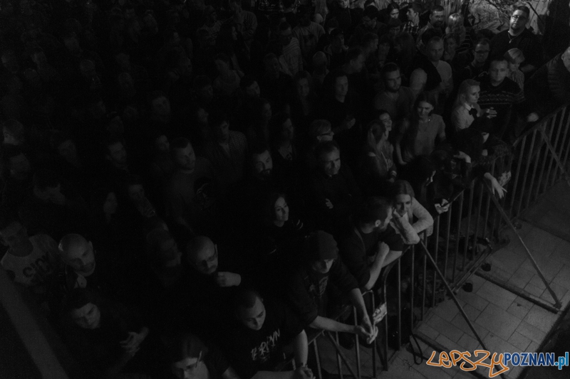 Koncert Everlast - support Bolo - Poznań 17.11.2014 r. Foto: LepszyPOZNAN.pl / Paweł Rychter Koncert Everlast - support Bolo - Poznań 17.11.2014 r. Foto: LepszyPOZNAN.pl / Paweł Rychter
