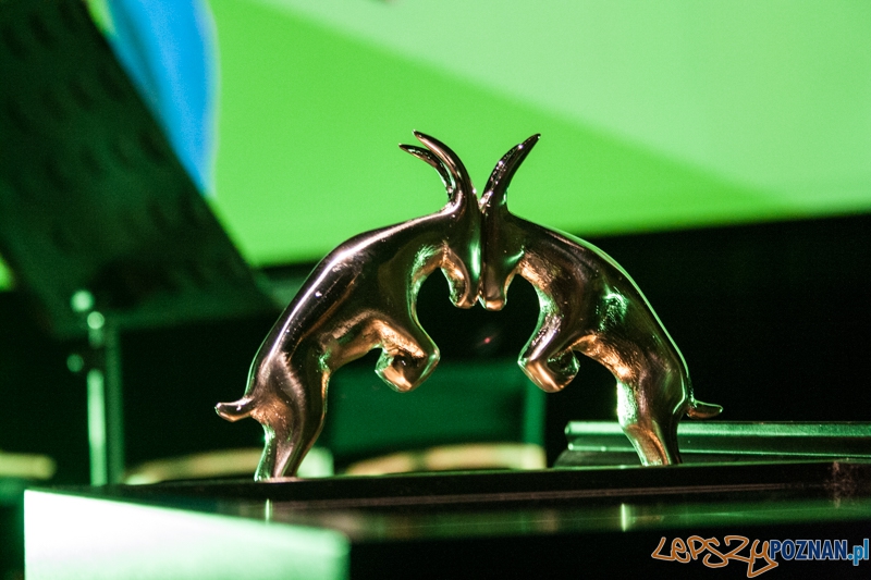 Festiwal Ale Kino - gala otwarcia (30.11.2014) CK Zamek Foto: © LepszyPOZNAN.pl / Karolina Kiraga Festiwal Ale Kino - gala otwarcia (30.11.2014) CK Zamek Foto: © LepszyPOZNAN.pl / Karolina Kiraga