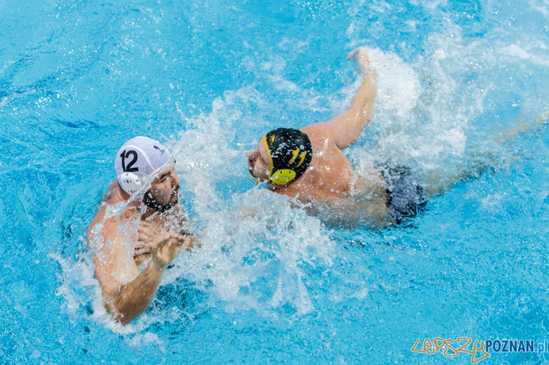 DSW Waterpolo Poznań - WTS Bytom - 23.11.2014 r. Foto: LepszyPOZNAN.pl / Paweł Rychter DSW Waterpolo Poznań - WTS Bytom - 23.11.2014 r. Foto: LepszyPOZNAN.pl / Paweł Rychter