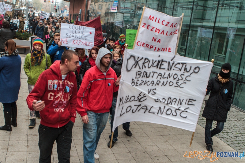 Marsz "Za krzywdy wyrządzone przez człowieka" - Poznań 09.11.2014 r. Foto: LepszyPOZNAN.pl / Paweł Rychter Marsz "Za krzywdy wyrządzone przez człowieka" - Poznań 09.11.2014 r. Foto: LepszyPOZNAN.pl / Paweł Rychter