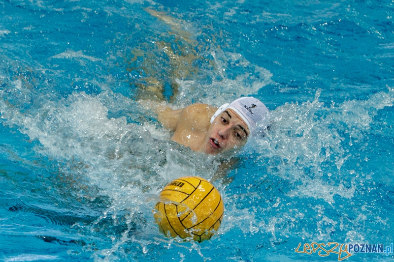 DSW Waterpolo Poznań - WTS Bytom - 23.11.2014 r. Foto: LepszyPOZNAN.pl / Paweł Rychter DSW Waterpolo Poznań - WTS Bytom - 23.11.2014 r. Foto: LepszyPOZNAN.pl / Paweł Rychter