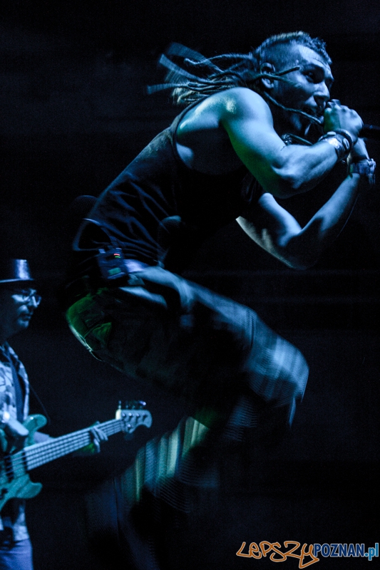 Bednarek (8.11.204) Hala nr 2 MTP Foto: © LepszyPOZNAN.pl / Karolina Kiraga Bednarek (8.11.204) Hala nr 2 MTP Foto: © LepszyPOZNAN.pl / Karolina Kiraga