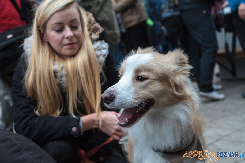 Marsz "Za krzywdy wyrządzone przez człowieka" - Poznań 09.11.2014 r. Foto: LepszyPOZNAN.pl / Paweł Rychter Marsz "Za krzywdy wyrządzone przez człowieka" - Poznań 09.11.2014 r. Foto: LepszyPOZNAN.pl / Paweł Rychter