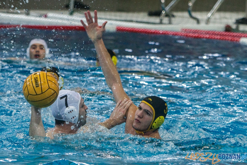DSW Waterpolo Poznań - WTS Bytom - 23.11.2014 r. Foto: LepszyPOZNAN.pl / Paweł Rychter DSW Waterpolo Poznań - WTS Bytom - 23.11.2014 r. Foto: LepszyPOZNAN.pl / Paweł Rychter