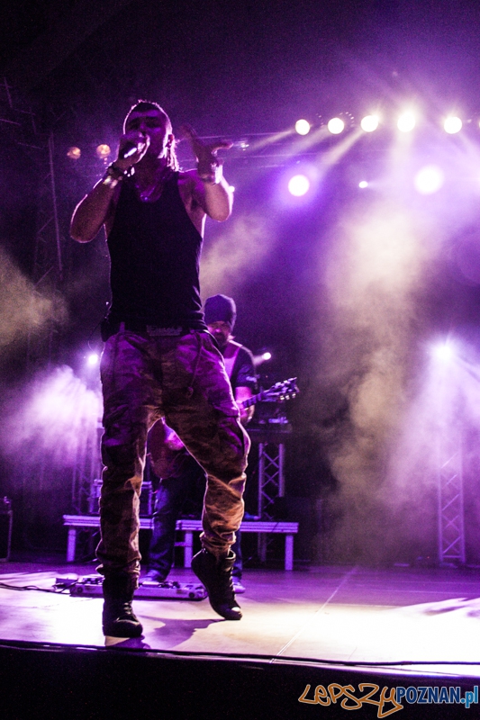 Bednarek (8.11.204) Hala nr 2 MTP Foto: © LepszyPOZNAN.pl / Karolina Kiraga Bednarek (8.11.204) Hala nr 2 MTP Foto: © LepszyPOZNAN.pl / Karolina Kiraga