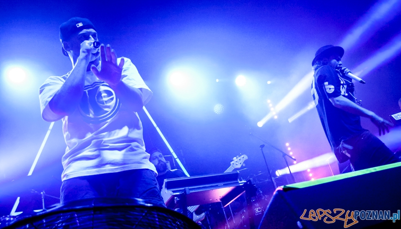 Afromental (20.11.2014) Eskulap Foto: © LepszyPOZNAN.pl / Karolina Kiraga Afromental (20.11.2014) Eskulap Foto: © LepszyPOZNAN.pl / Karolina Kiraga