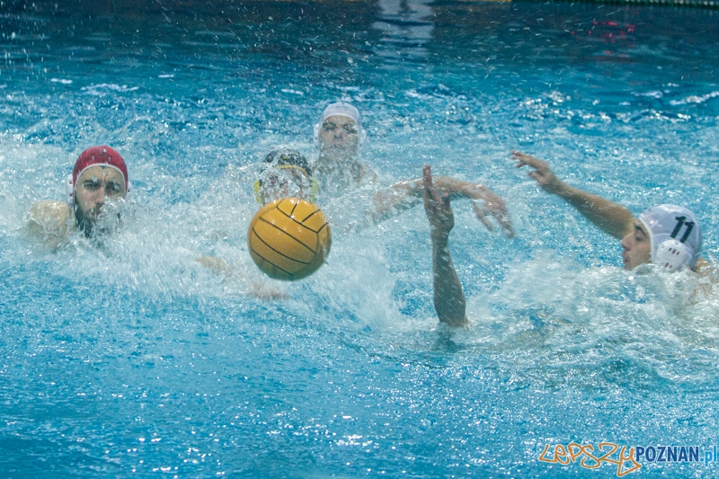 DSW Waterpolo Poznań - WTS Bytom - 23.11.2014 r. Foto: LepszyPOZNAN.pl / Paweł Rychter DSW Waterpolo Poznań - WTS Bytom - 23.11.2014 r. Foto: LepszyPOZNAN.pl / Paweł Rychter
