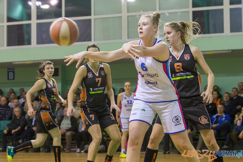 Poznań City Center AZS - UKS Basket Aleksandrów Łódzki Foto: lepszyPOZNAN.pl / Piotr Rychter Poznań City Center AZS - UKS Basket Aleksandrów Łódzki Foto: lepszyPOZNAN.pl / Piotr Rychter