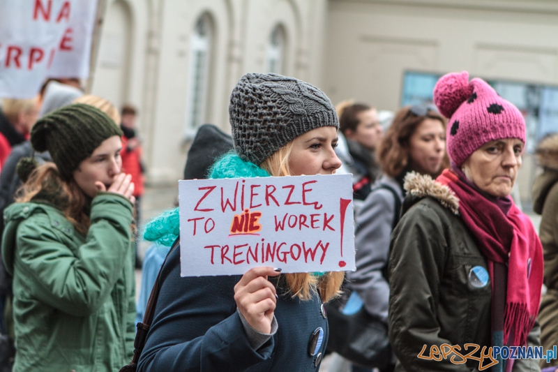 Marsz "Za krzywdy wyrządzone przez człowieka" - Poznań 09.11.2014 r. Foto: LepszyPOZNAN.pl / Paweł Rychter Marsz "Za krzywdy wyrządzone przez człowieka" - Poznań 09.11.2014 r. Foto: LepszyPOZNAN.pl / Paweł Rychter