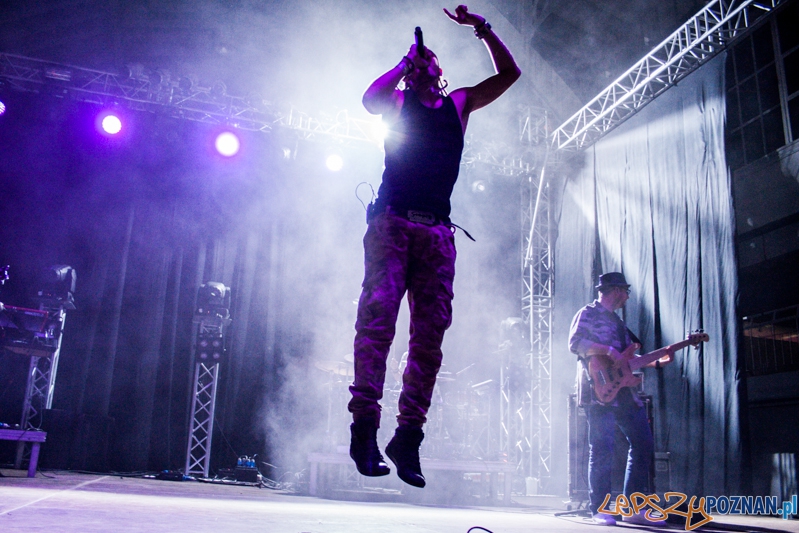 Bednarek (8.11.204) Hala nr 2 MTP Foto: © LepszyPOZNAN.pl / Karolina Kiraga Bednarek (8.11.204) Hala nr 2 MTP Foto: © LepszyPOZNAN.pl / Karolina Kiraga