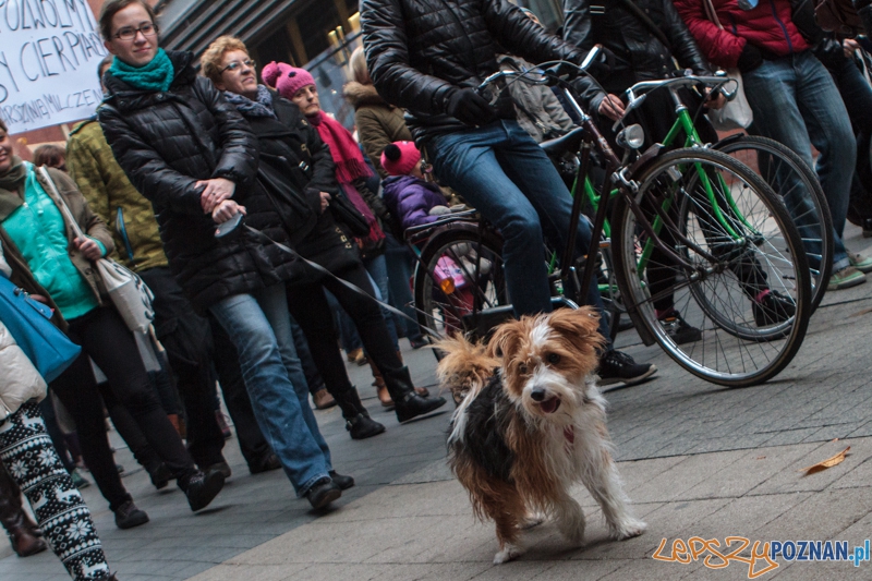 Marsz "Za krzywdy wyrządzone przez człowieka" - Poznań 09.11.2014 r. Foto: LepszyPOZNAN.pl / Paweł Rychter Marsz "Za krzywdy wyrządzone przez człowieka" - Poznań 09.11.2014 r. Foto: LepszyPOZNAN.pl / Paweł Rychter