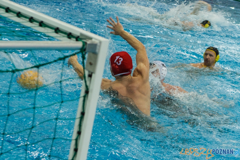DSW Waterpolo Poznań - WTS Bytom - 23.11.2014 r. Foto: LepszyPOZNAN.pl / Paweł Rychter DSW Waterpolo Poznań - WTS Bytom - 23.11.2014 r. Foto: LepszyPOZNAN.pl / Paweł Rychter
