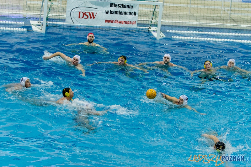 DSW Waterpolo Poznań - WTS Bytom - 23.11.2014 r. Foto: LepszyPOZNAN.pl / Paweł Rychter DSW Waterpolo Poznań - WTS Bytom - 23.11.2014 r. Foto: LepszyPOZNAN.pl / Paweł Rychter