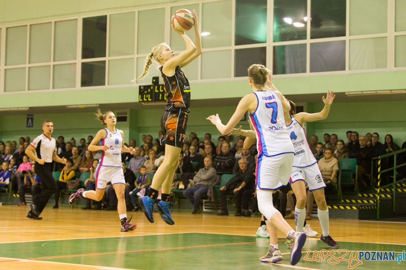 Poznań City Center AZS - UKS Basket Aleksandrów Łódzki Foto: lepszyPOZNAN.pl / Piotr Rychter Poznań City Center AZS - UKS Basket Aleksandrów Łódzki Foto: lepszyPOZNAN.pl / Piotr Rychter