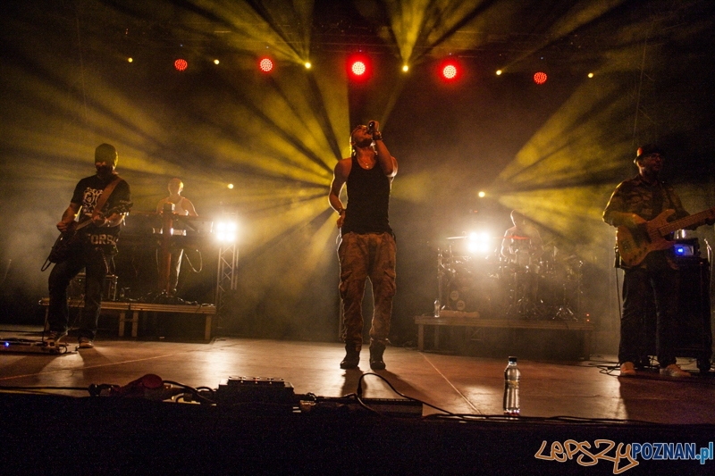 Bednarek (8.11.204) Hala nr 2 MTP Foto: © LepszyPOZNAN.pl / Karolina Kiraga Bednarek (8.11.204) Hala nr 2 MTP Foto: © LepszyPOZNAN.pl / Karolina Kiraga