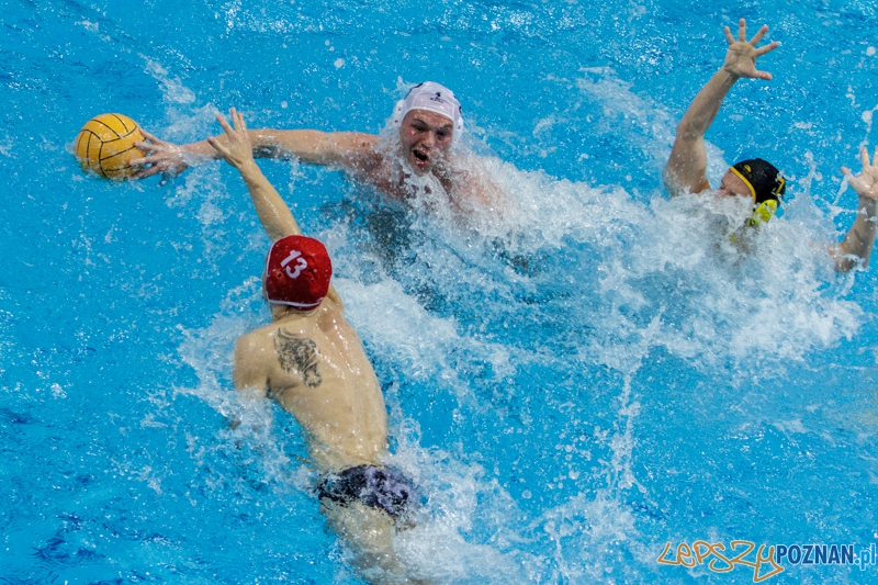 DSW Waterpolo Poznań - WTS Bytom - 23.11.2014 r. Foto: LepszyPOZNAN.pl / Paweł Rychter DSW Waterpolo Poznań - WTS Bytom - 23.11.2014 r. Foto: LepszyPOZNAN.pl / Paweł Rychter