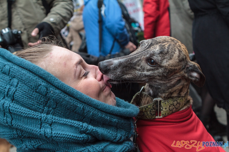 Marsz "Za krzywdy wyrządzone przez człowieka" - Poznań 09.11.2014 r. Foto: LepszyPOZNAN.pl / Paweł Rychter Marsz "Za krzywdy wyrządzone przez człowieka" - Poznań 09.11.2014 r. Foto: LepszyPOZNAN.pl / Paweł Rychter