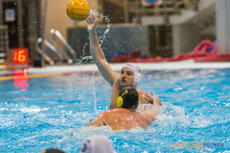 DSW Waterpolo Poznań - WTS Bytom Foto: lepszyPOZNAN.pl / Piotr Rychter DSW Waterpolo Poznań - WTS Bytom Foto: lepszyPOZNAN.pl / Piotr Rychter