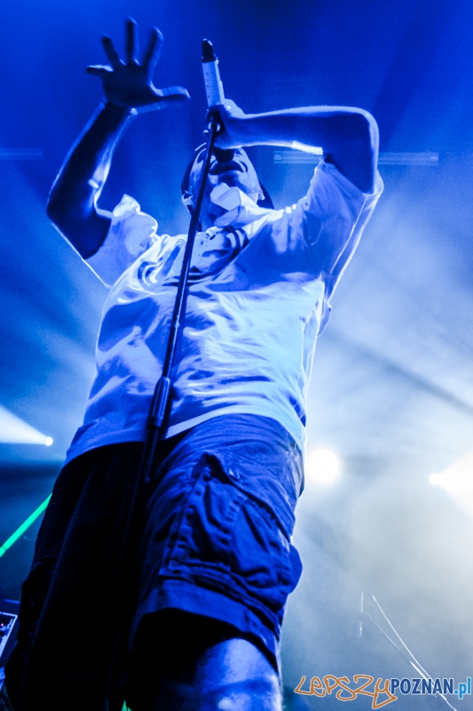 Afromental (20.11.2014) Eskulap Foto: © LepszyPOZNAN.pl / Karolina Kiraga Afromental (20.11.2014) Eskulap Foto: © LepszyPOZNAN.pl / Karolina Kiraga