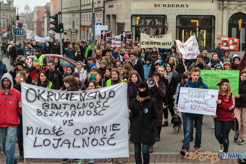 Marsz "Za krzywdy wyrządzone przez człowieka" - Poznań 09.11.2014 r. Foto: LepszyPOZNAN.pl / Paweł Rychter Marsz "Za krzywdy wyrządzone przez człowieka" - Poznań 09.11.2014 r. Foto: LepszyPOZNAN.pl / Paweł Rychter