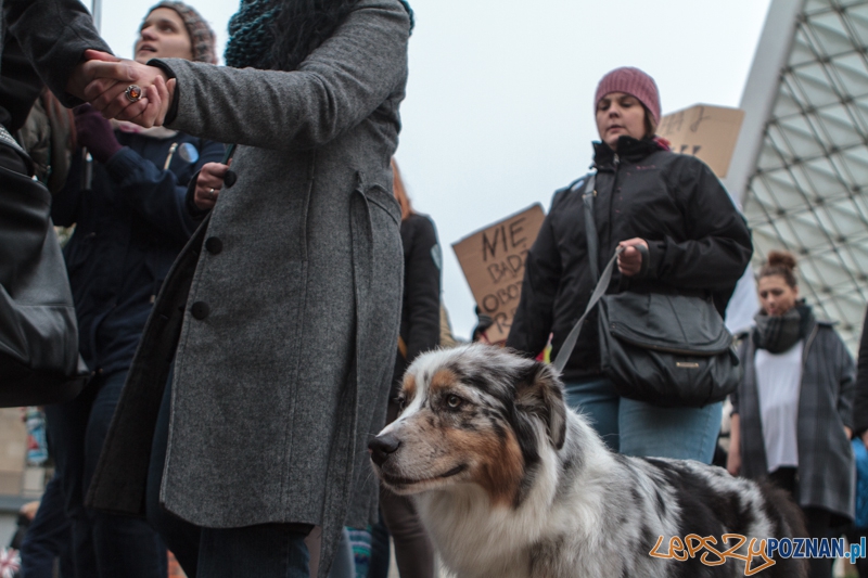 Marsz "Za krzywdy wyrządzone przez człowieka" - Poznań 09.11.2014 r. Foto: LepszyPOZNAN.pl / Paweł Rychter Marsz "Za krzywdy wyrządzone przez człowieka" - Poznań 09.11.2014 r. Foto: LepszyPOZNAN.pl / Paweł Rychter