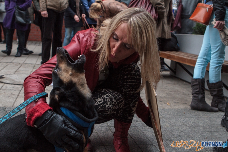 Marsz "Za krzywdy wyrządzone przez człowieka" - Poznań 09.11.2014 r. Foto: LepszyPOZNAN.pl / Paweł Rychter Marsz "Za krzywdy wyrządzone przez człowieka" - Poznań 09.11.2014 r. Foto: LepszyPOZNAN.pl / Paweł Rychter
