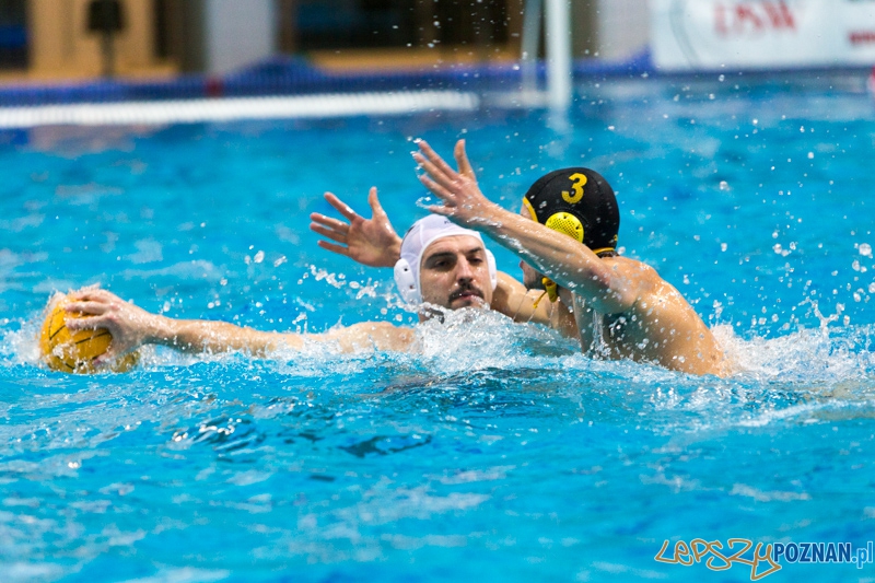 DSW Waterpolo Poznań - WTS Bytom Foto: lepszyPOZNAN.pl / Piotr Rychter DSW Waterpolo Poznań - WTS Bytom Foto: lepszyPOZNAN.pl / Piotr Rychter