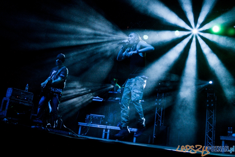 Bednarek (8.11.204) Hala nr 2 MTP Foto: © LepszyPOZNAN.pl / Karolina Kiraga Bednarek (8.11.204) Hala nr 2 MTP Foto: © LepszyPOZNAN.pl / Karolina Kiraga