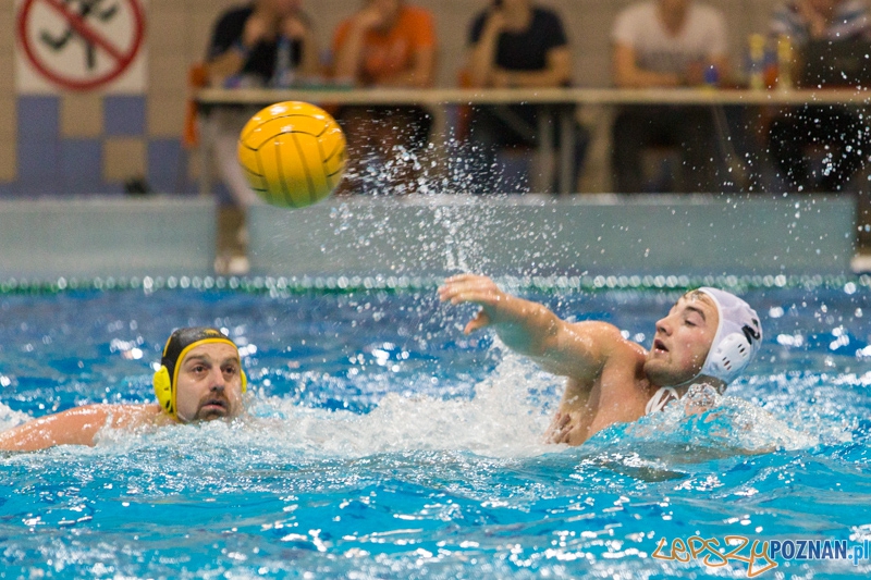DSW Waterpolo Poznań - WTS Bytom Foto: lepszyPOZNAN.pl / Piotr Rychter DSW Waterpolo Poznań - WTS Bytom Foto: lepszyPOZNAN.pl / Piotr Rychter