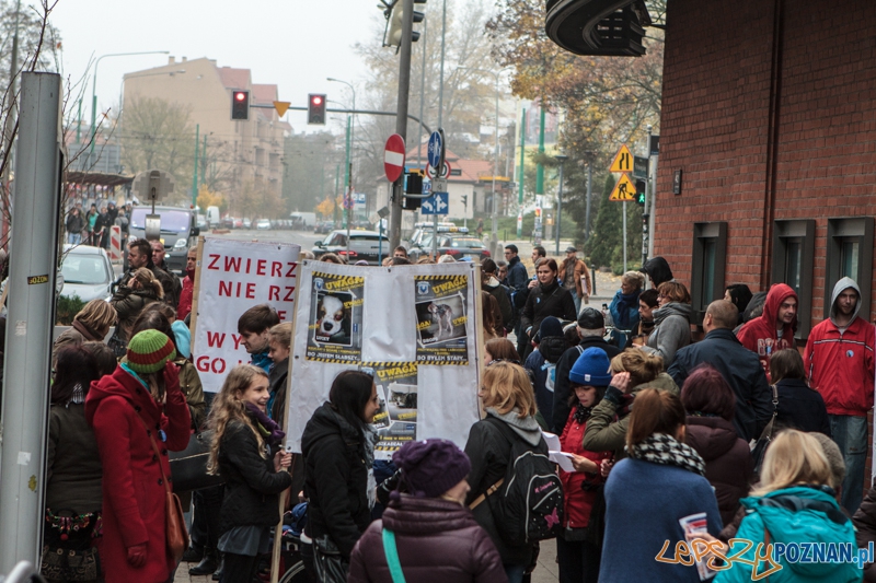 Marsz "Za krzywdy wyrządzone przez człowieka" - Poznań 09.11.2014 r. Foto: LepszyPOZNAN.pl / Paweł Rychter Marsz "Za krzywdy wyrządzone przez człowieka" - Poznań 09.11.2014 r. Foto: LepszyPOZNAN.pl / Paweł Rychter