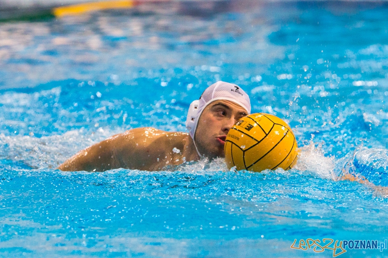 DSW Waterpolo Poznań - WTS Bytom Foto: lepszyPOZNAN.pl / Piotr Rychter DSW Waterpolo Poznań - WTS Bytom Foto: lepszyPOZNAN.pl / Piotr Rychter