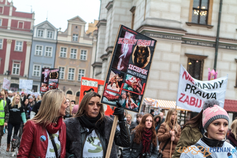 Marsz "Za krzywdy wyrządzone przez człowieka" - Poznań 09.11.2014 r. Foto: LepszyPOZNAN.pl / Paweł Rychter Marsz "Za krzywdy wyrządzone przez człowieka" - Poznań 09.11.2014 r. Foto: LepszyPOZNAN.pl / Paweł Rychter
