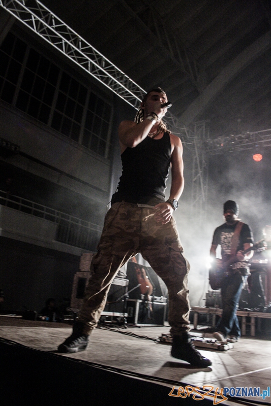 Bednarek (8.11.204) Hala nr 2 MTP Foto: © LepszyPOZNAN.pl / Karolina Kiraga Bednarek (8.11.204) Hala nr 2 MTP Foto: © LepszyPOZNAN.pl / Karolina Kiraga