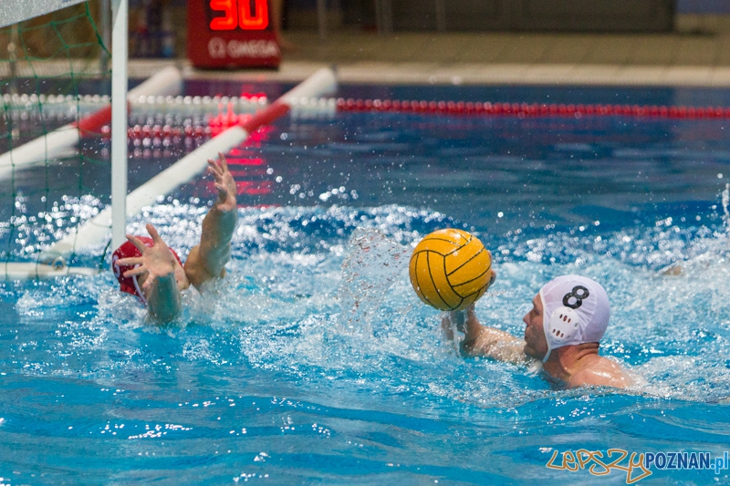 DSW Waterpolo Poznań - WTS Bytom Foto: lepszyPOZNAN.pl / Piotr Rychter DSW Waterpolo Poznań - WTS Bytom Foto: lepszyPOZNAN.pl / Piotr Rychter