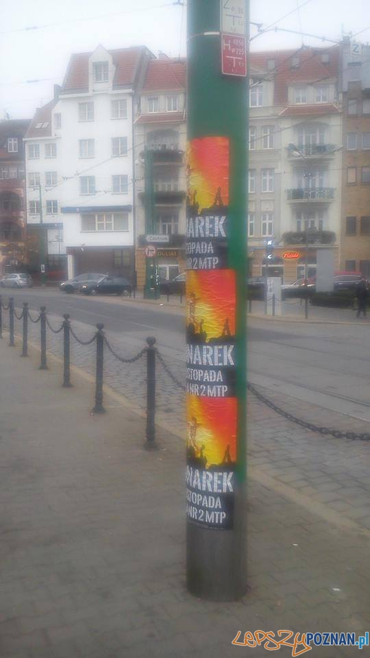 Zaklejone słupy na Wildzie Foto: Łukasz Kozłowski Zaklejone słupy na Wildzie Foto: Łukasz Kozłowski