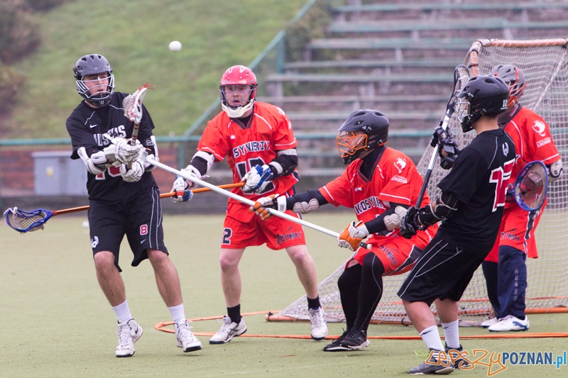 Polska Liga Lacrosse - Poznań Hussars vs Kosynierzy Wrocław Foto: lepszyPOZNAN.pl / Piotr Rychter Polska Liga Lacrosse - Poznań Hussars vs Kosynierzy Wrocław Foto: lepszyPOZNAN.pl / Piotr Rychter