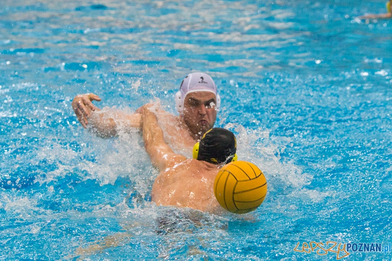 DSW Waterpolo Poznań - WTS Bytom Foto: lepszyPOZNAN.pl / Piotr Rychter DSW Waterpolo Poznań - WTS Bytom Foto: lepszyPOZNAN.pl / Piotr Rychter