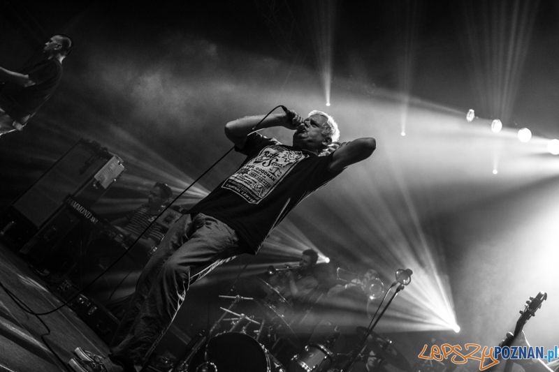 Kult - Poznań 09.11.2014 r. Foto: LepszyPOZNAN.pl / Paweł Rychter Kult - Poznań 09.11.2014 r. Foto: LepszyPOZNAN.pl / Paweł Rychter