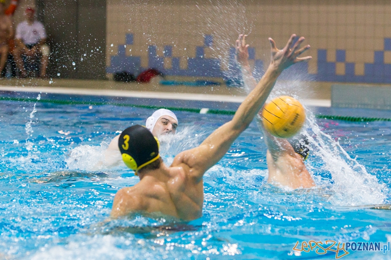 DSW Waterpolo Poznań - WTS Bytom Foto: lepszyPOZNAN.pl / Piotr Rychter DSW Waterpolo Poznań - WTS Bytom Foto: lepszyPOZNAN.pl / Piotr Rychter