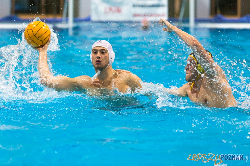 DSW Waterpolo Poznań - WTS Bytom Foto: lepszyPOZNAN.pl / Piotr Rychter DSW Waterpolo Poznań - WTS Bytom Foto: lepszyPOZNAN.pl / Piotr Rychter