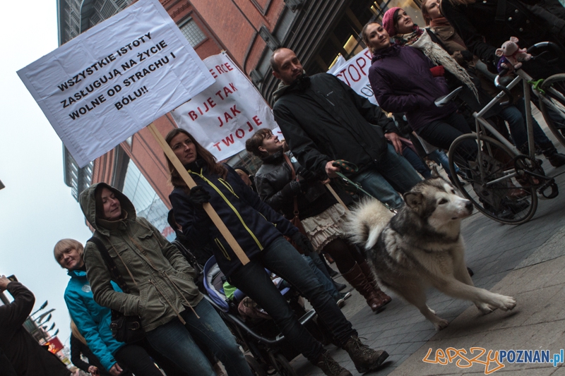 Marsz "Za krzywdy wyrządzone przez człowieka" - Poznań 09.11.2014 r. Foto: LepszyPOZNAN.pl / Paweł Rychter Marsz "Za krzywdy wyrządzone przez człowieka" - Poznań 09.11.2014 r. Foto: LepszyPOZNAN.pl / Paweł Rychter