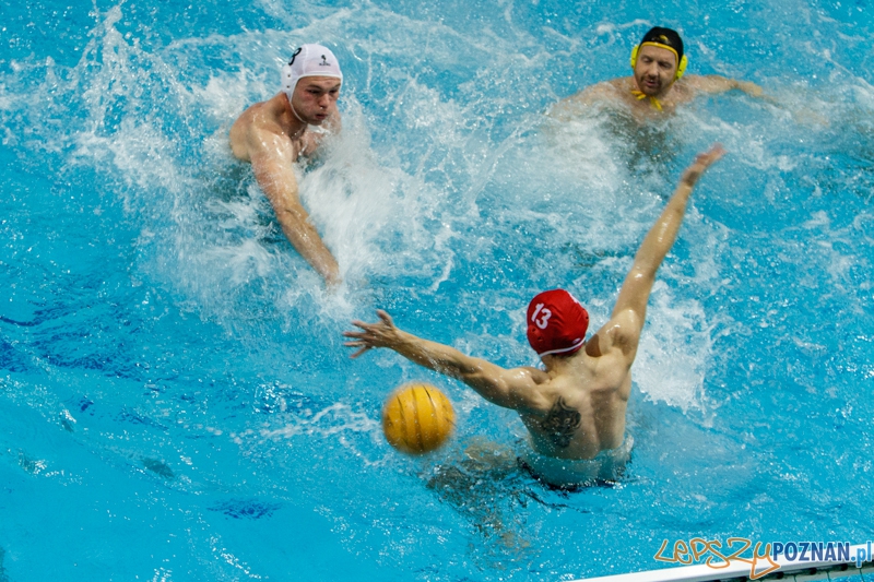 DSW Waterpolo Poznań - WTS Bytom - 23.11.2014 r. Foto: LepszyPOZNAN.pl / Paweł Rychter DSW Waterpolo Poznań - WTS Bytom - 23.11.2014 r. Foto: LepszyPOZNAN.pl / Paweł Rychter