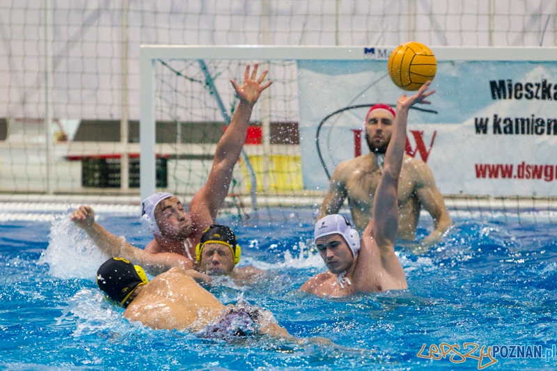 DSW Waterpolo Poznań - WTS Bytom Foto: lepszyPOZNAN.pl / Piotr Rychter DSW Waterpolo Poznań - WTS Bytom Foto: lepszyPOZNAN.pl / Piotr Rychter