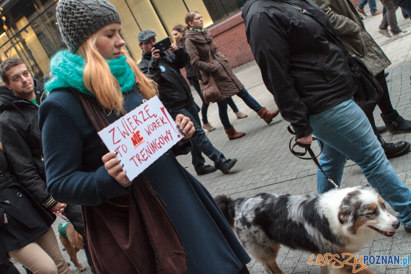 Marsz "Za krzywdy wyrządzone przez człowieka" - Poznań 09.11.2014 r. Foto: LepszyPOZNAN.pl / Paweł Rychter Marsz "Za krzywdy wyrządzone przez człowieka" - Poznań 09.11.2014 r. Foto: LepszyPOZNAN.pl / Paweł Rychter