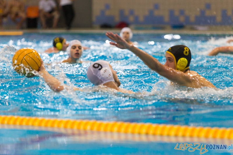 DSW Waterpolo Poznań - WTS Bytom Foto: lepszyPOZNAN.pl / Piotr Rychter DSW Waterpolo Poznań - WTS Bytom Foto: lepszyPOZNAN.pl / Piotr Rychter