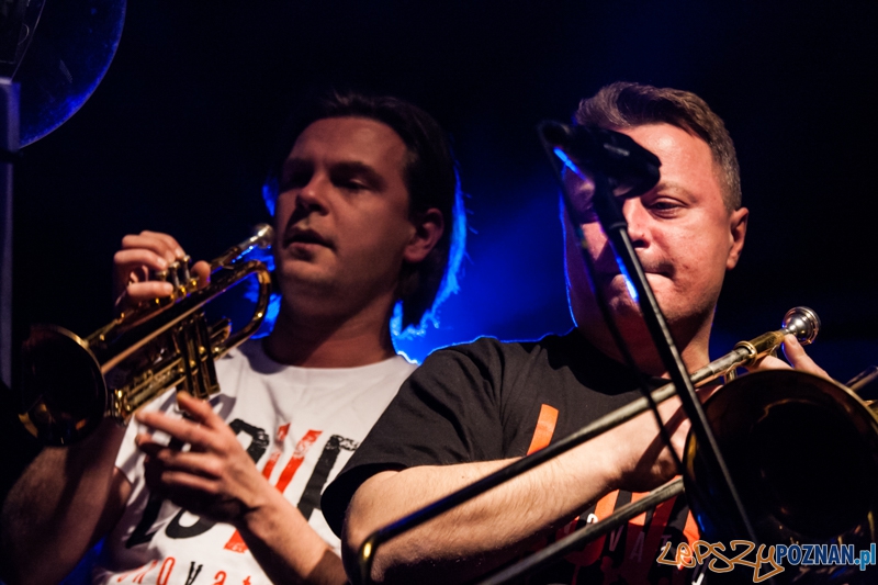 Edyta Bartosiewicz (28.11.2014) CK Zamek Foto: © LepszyPOZNAN.pl / Karolina Kiraga Edyta Bartosiewicz (28.11.2014) CK Zamek Foto: © LepszyPOZNAN.pl / Karolina Kiraga