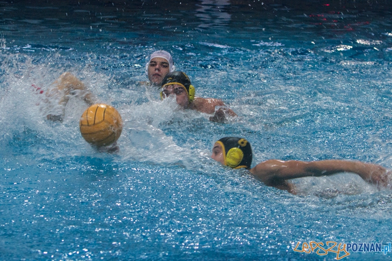 DSW Waterpolo Poznań - WTS Bytom - 23.11.2014 r. Foto: LepszyPOZNAN.pl / Paweł Rychter DSW Waterpolo Poznań - WTS Bytom - 23.11.2014 r. Foto: LepszyPOZNAN.pl / Paweł Rychter